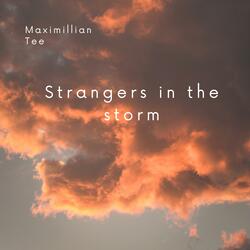 We where strangers in the storm (feat. Amara Vale)