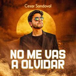 No me vas a olvidar