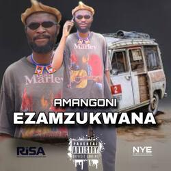Ezamzukwana (feat. N.Y.E Kids) (Radio Edit)