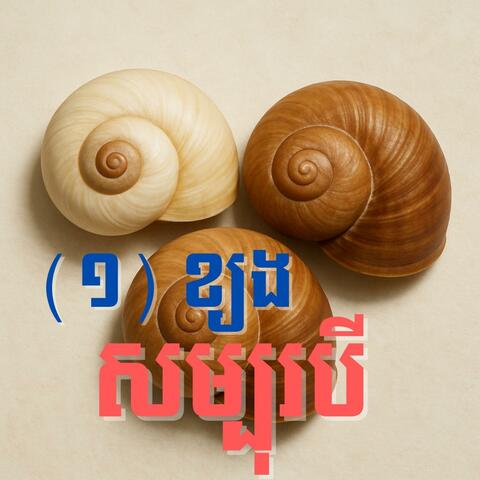 ចាប៉ីដងវែង ខ្យងសម្បុរបី-ThreeColors (Track1)