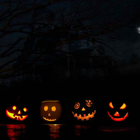 halloween2k24