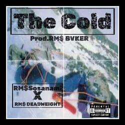 The Cold (feat. RM$ DEADWEIGHT)