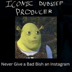 Never Give a Bad Bish an Instagram