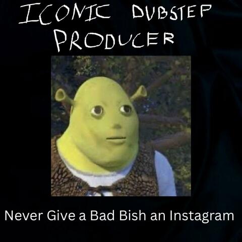 Never Give a Bad Bish an Instagram