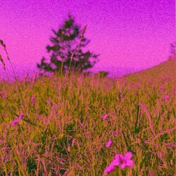 THINGS I'LL NEVER SAY INTERLUDE