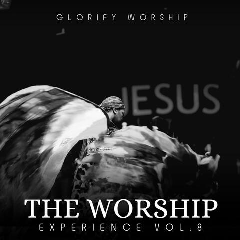 The Worship Experience, Vol. 8