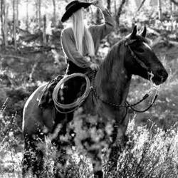 Don't Sweat The Petty