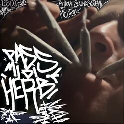 Pass Mi Di Riddim (with dubstep)