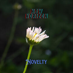 Novelty