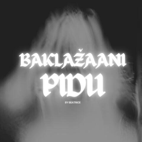 Baklažaanipidu