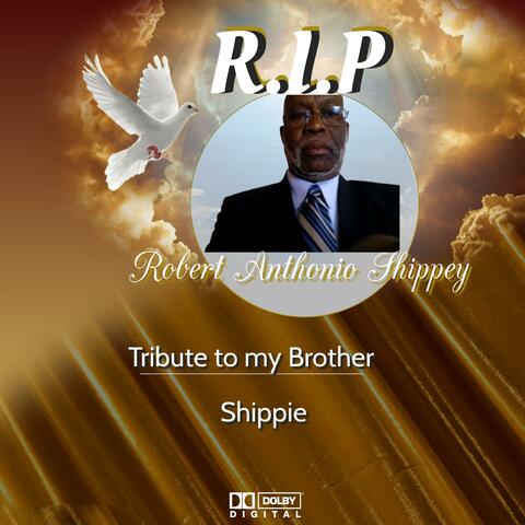 Tribute To My Brother