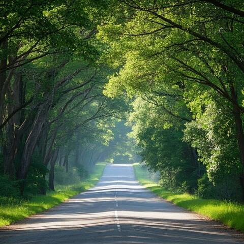 We Tried It All, We Tried It All