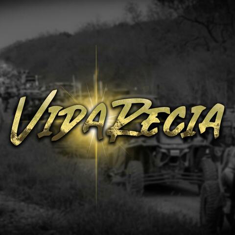 Vida Recia
