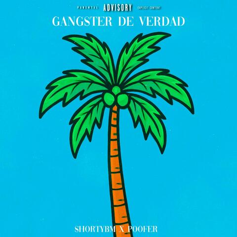 Gangster de Verdad (feat. POOFER)