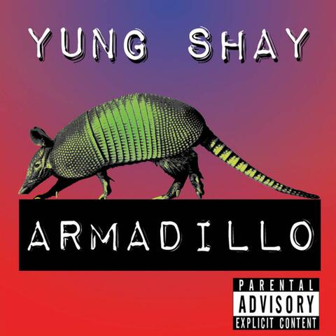 Armadillo