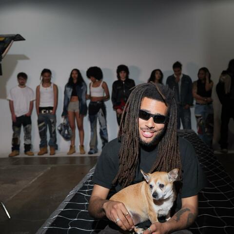 Danny Phantom Crystals