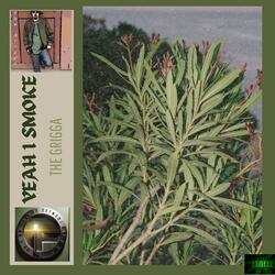 Yeah I Smoke (feat. Double E & Strait 28)