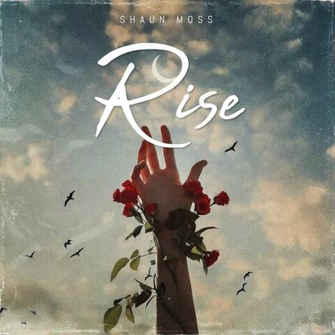 Rise