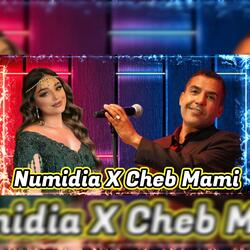 Numidia X Cheb Mami MIX 2025 sentimental
