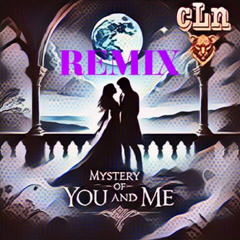Mystery Of You And Me (Remix)
