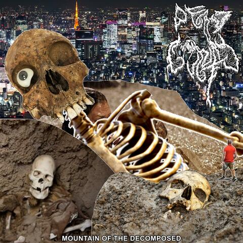 Mountain of The Decomposed