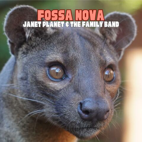 Fossa Nova
