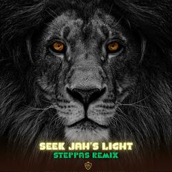 Seek Jah's Light (feat. Braddah Gabe Presents) (REMIX)