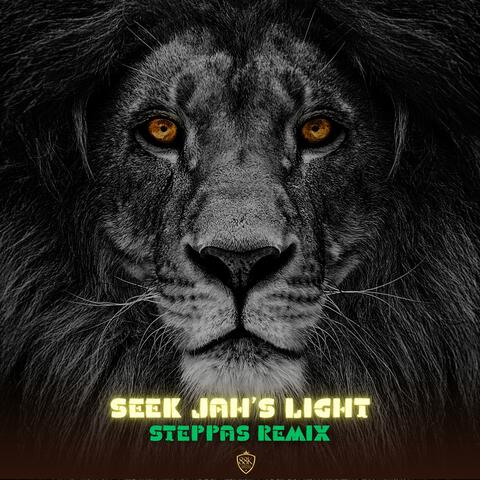 Seek Jah's Light (feat. Braddah Gabe Presents) [REMIX]