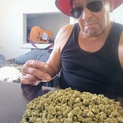Mary Jane