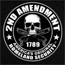 Second Amendment (feat. Trump The Don, AI Larry Bob, Biscuit Beats, Beats By AI & Rizz Records)