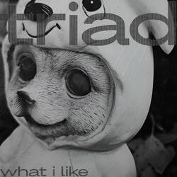 What I Like