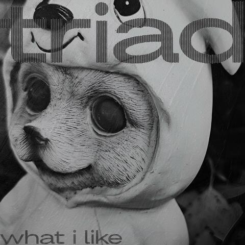 What I Like