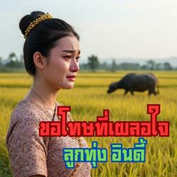 ขอโทษที่เผลอใจ (ลูกทุ่ง อินดี้)