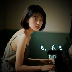 飞，我飞