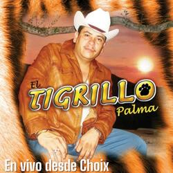 Presentacion-El tigrillo palma en vivo desde la feria del ajonjolí de Choix 2010 (En vivo)