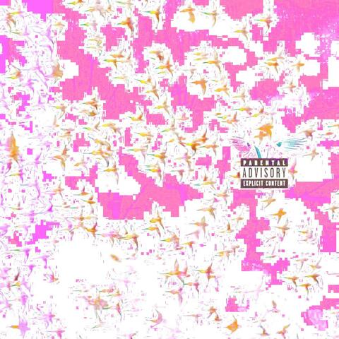 The Background