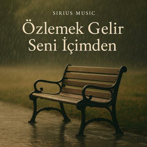 Özlemek Gelir Seni İçimden