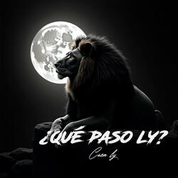 ¿Qué paso ly?