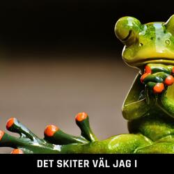 Det skiter väl jag i