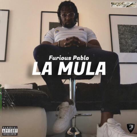 LA MULA