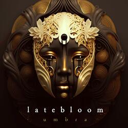 umbra