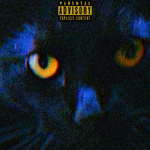 9 lives