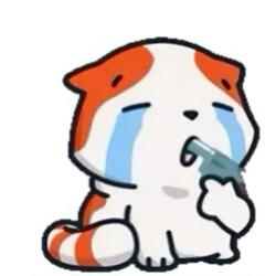 shes such a nice girl and i really never talked to a normal girl before so im scared to approach her