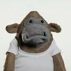 you dont like me but im crazy for u