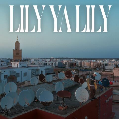 LILY YA LILY