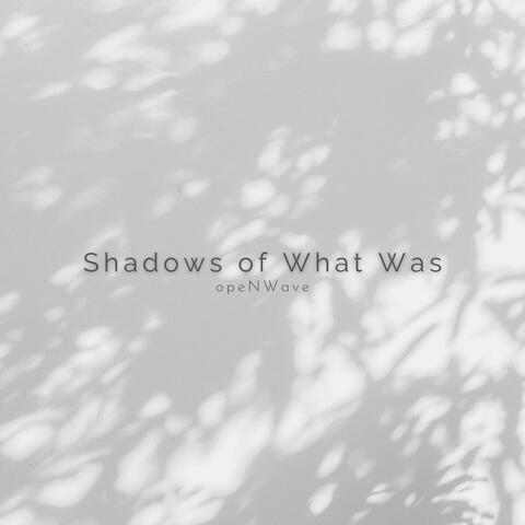 Shadows of What Was