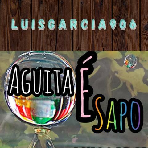 AGUITA E SAPO