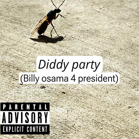 Diddy party