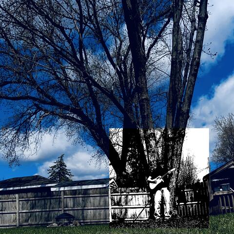 bliss (demo)