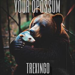 Your Opossum
